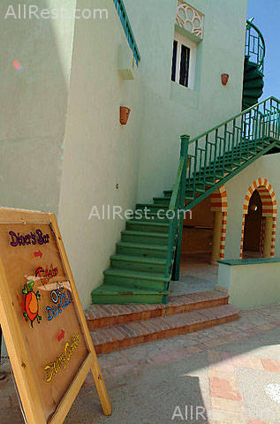 Turtles Inn Dive Club & Hotel 11